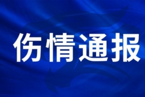 免费世界杯美国对澳大利亚在线观看_免费世界杯美国对澳大利亚在线观看在线观看_免费看直播