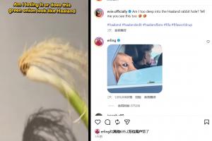 实时世界杯美国/波黑大战第10场1/16决赛胜者进球集锦_实时世界杯美国/波黑大战第10场1/16决赛胜者进球集锦在线观看_免费看直播