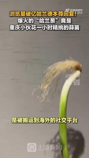 重磅中超青岛海牛vs云南玉昆首发阵容_重磅中超青岛海牛vs云南玉昆首发阵容在线观看_免费看直播